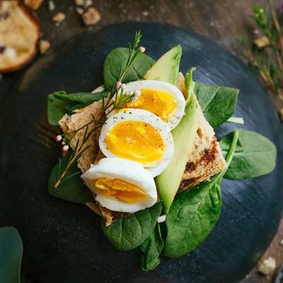 Family Restaurant Infocity